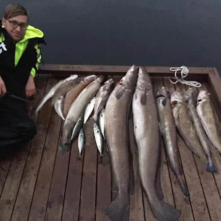 Apartamento Sunrise - Self Check In - Free Parking Bergen