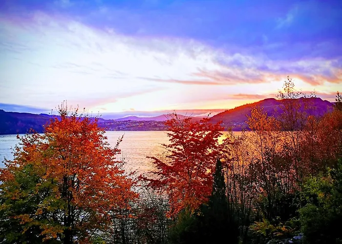 Sunrise - Self Check In - Free Parking Lägenhet