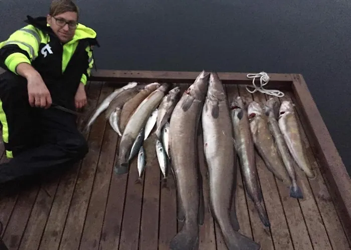 Lägenhet Sunrise - Self Check In - Free Parking Bergen
