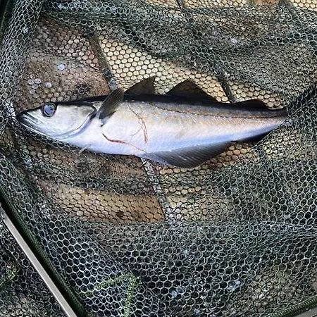 Sunrise - Self Check In - Free Parking * Bergen